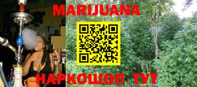 спиды Кинель