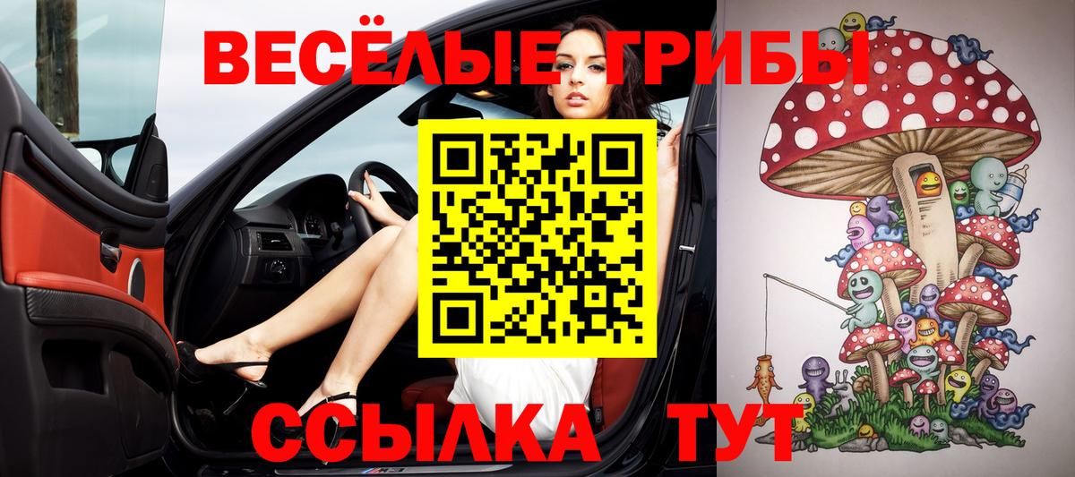 Псилоцибиновые грибы Psilocybe Шатура